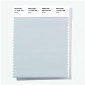 12-4102 TSX Grout - Polyester Swatch Card