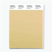 13-0716 TSX Baked flan - Polyester Swatch Card