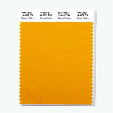 14-0937 TSX Banana Pudding - Polyester Swatch Card