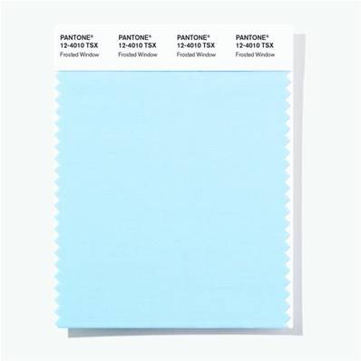 12-4010 TSX Frosted Window - Polyester Swatch Card