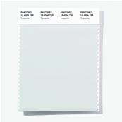 13-4504 TSX Turquenite - Polyester Swatch Card