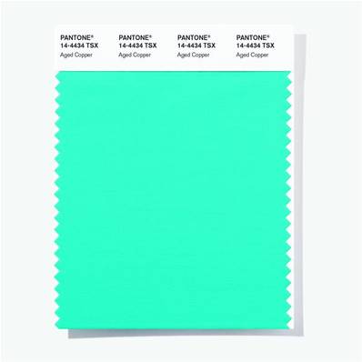 14-4434 TSX Aged Copper - Polyester Swatch Card