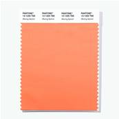 13-1325 TSX Alluring Apricot - Polyester Swatch Card