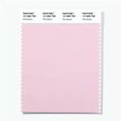 13-1805 TSX Pink Gecko - Polyester Swatch Card
